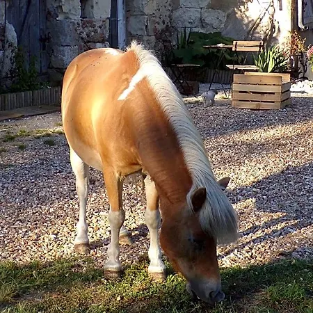 Les Du Vau Profond Bed and Breakfast 3*