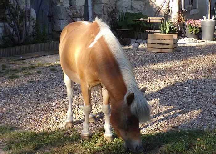 Les Du Vau Profond Panzió 3*