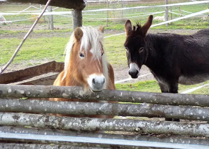 Nocleg ze śniadaniem Les Du Vau Profond